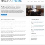 VooshThemes Halina WordPress Theme