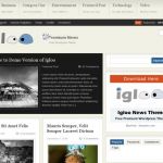 BizzThemes Igloo News WordPress Theme