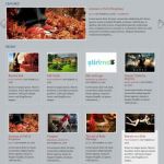 WPZoom Impulse WordPress Theme