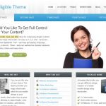 PandaThemes Intelligible WordPress Theme