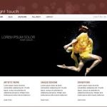 VivaThemes Light Touch WordPress Theme