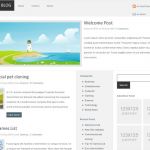 FreeThemeLayouts Lucid WordPress Theme