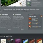 ElegantThemes Lumin WordPress Theme