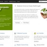 BizzThemes Me’gusta WordPress Theme