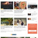 MyThemeShop WordX WordPress Theme