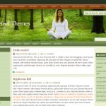 Web2Feel Natural health WordPress Theme