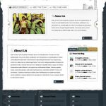 ElegantThemes OnTheGo WordPress Theme