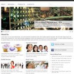 FlexiThemes Our Business WordPress Theme