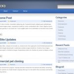 FreeThemeLayouts Pandora WordPress Theme