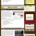 Zidalgo PersonalPress WordPress Theme
