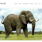 Templatic Photocraft WordPress Theme