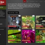 ThemeWarrior Picture Box WordPress Theme