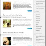 ElegantThemes Polished WordPress Theme