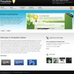 ThemeForest Pressfolio WordPress Theme