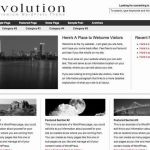 Revolution Revolution 2 WordPress Theme