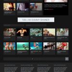 RichWP VideoWorld WordPress Theme