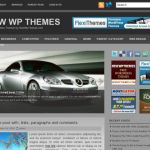 Anonymous Roundly WordPress Theme