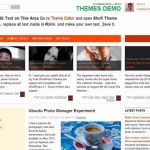 Anonymous Shofi WordPress Theme