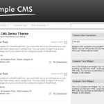 Anonymous Simple CMS WordPress Theme