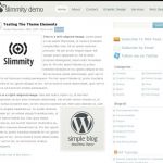 Anonymous SimpleBlog WordPress Theme