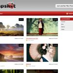 WooThemes Snapshot WordPress Theme