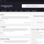 FreeThemeLayouts SuperMagazine WordPress Theme