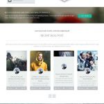 ThemeForest Krypton WordPress Theme