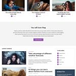 ThemeForest Vlog WordPress Theme