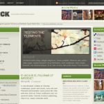 WooThemes Thick WordPress Theme