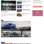 WPZoom Domino WordPress Theme