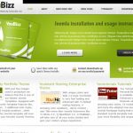 YouJoomla YouBizz WordPress Theme