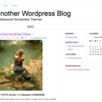WordPress.org Mini WordPress Theme