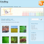 WordPress.org WP_EduBlog WordPress Theme