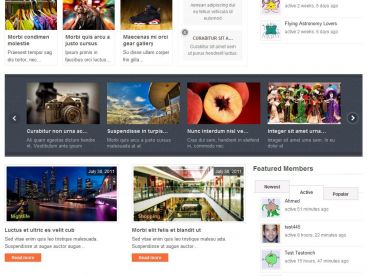options-gabfire theme