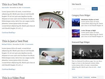 wp-professional theme