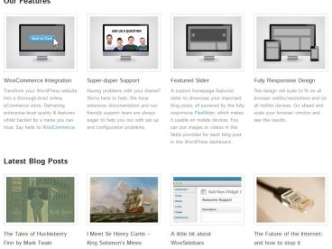 function-woothemes theme