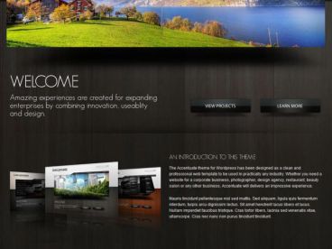 accentuate theme