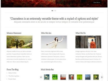 chameleon-elegantthemes theme