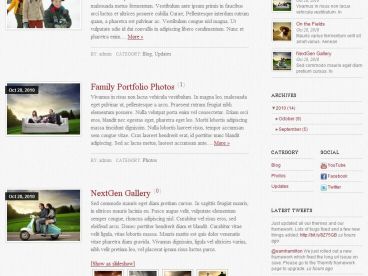 edmin theme