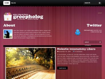 groovy-photo theme