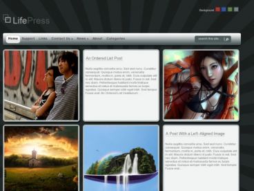 lifepress theme