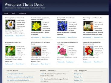 magadine theme