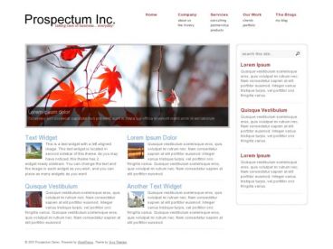 prospectum theme