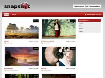 snapshot theme