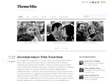 thememin theme