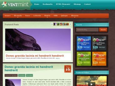 vintmint theme