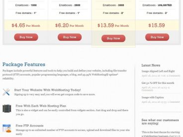 web-hosting theme