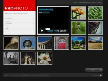 wp-prophoto theme