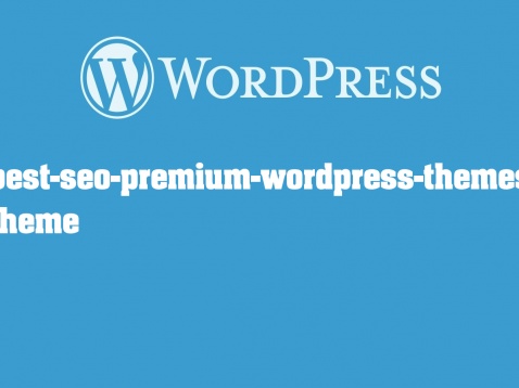 Plaza WordPress Theme - MeThemes